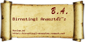 Birnstingl Anasztáz névjegykártya